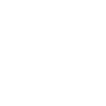 Taranis Electric logo
