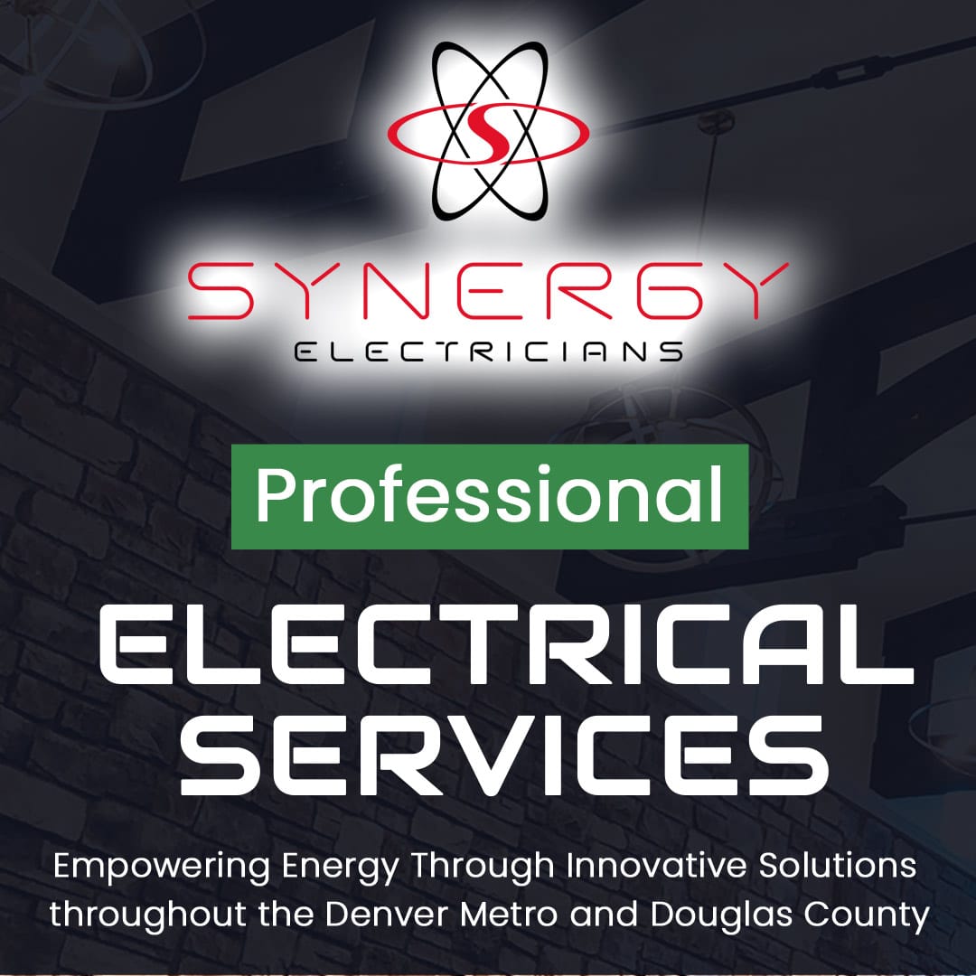 Synergy Electric Group. LLC logo