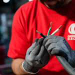 Cherry City Electric logo