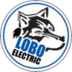 LOBO Consulting, Inc logo