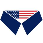 Blue Collar Electric logo