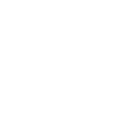 Flavin Electric LLC logo