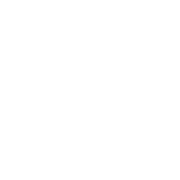 Flavin Electric LLC logo