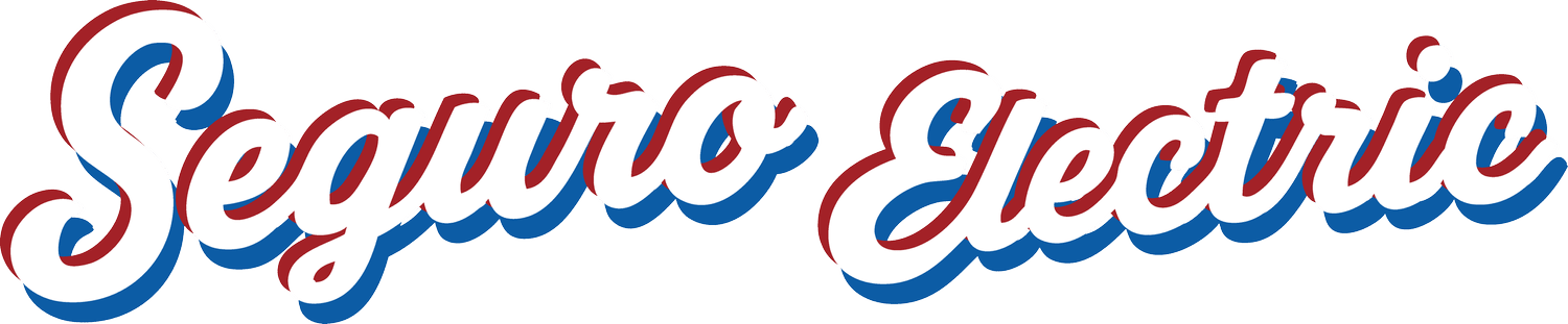 Seguro Electric logo