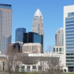 LiveWire Electrical logo